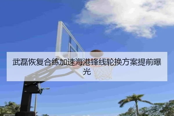 武磊恢复合练加速海港锋线轮换方案提前曝光 - SABASports